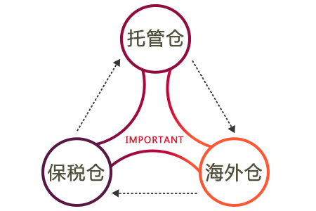 電商賣家必讀：哪種物流體系更適合你？